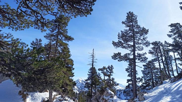 ¿Cómo se llevan las bajas temperaturas en el Pirineo Navarro?