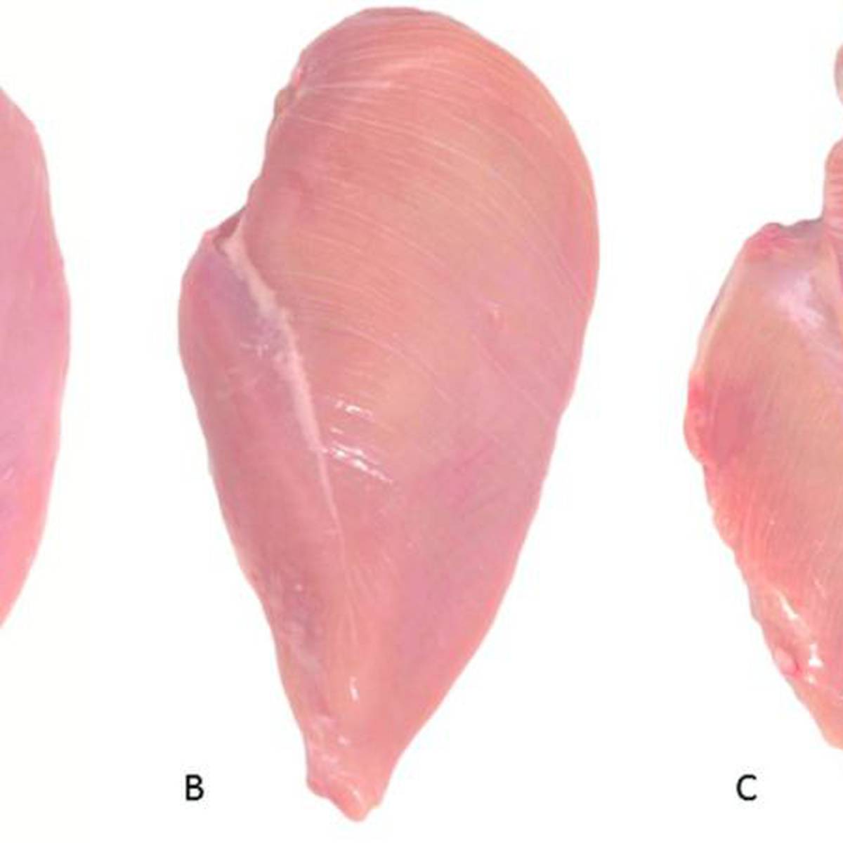 Actualizar 51 Imagen Partes De La Pechuga De Pollo Vn 1220