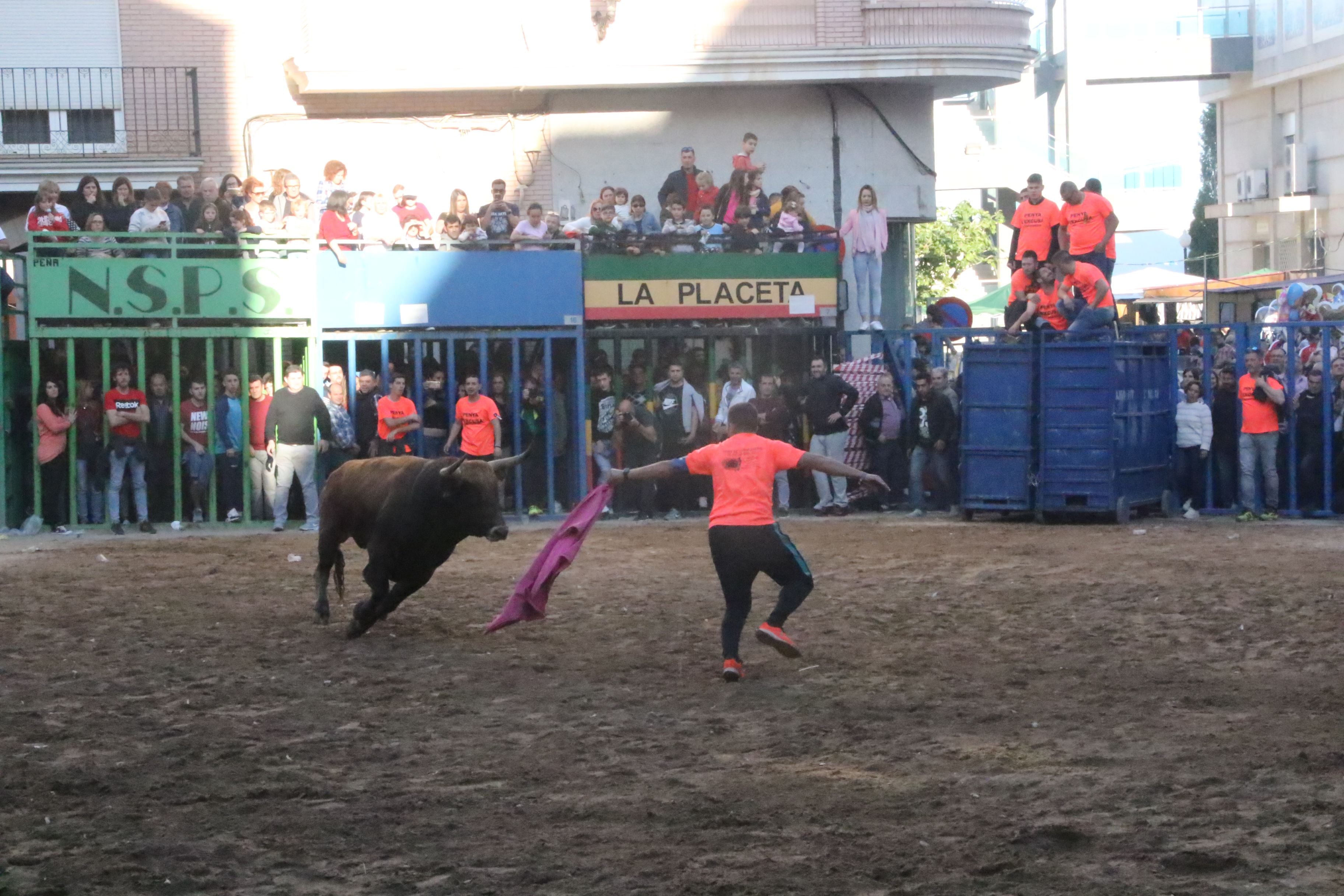 Barrera tras la cogida mortal en Pobla de Farnals: 