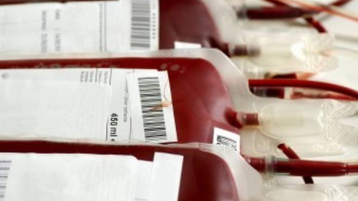 “Donar sangre podría tener un efecto rejuvenecedor en el donante”, Matilde Cañelles, inmunóloga del CSIC sobre las transfusiones