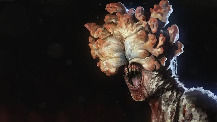 El hongo de la serie 'The Last of Us' es real: ¿podría llegar a infectar al  ser humano? | Ocio y cultura | Cadena SER