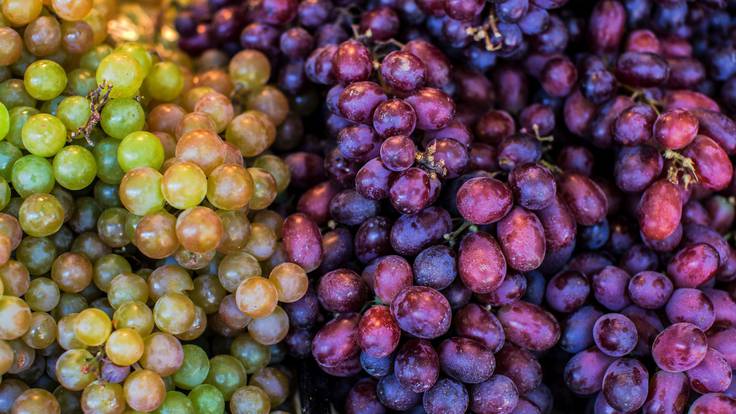 ¿Son transgénicas las uvas sin pepitas?