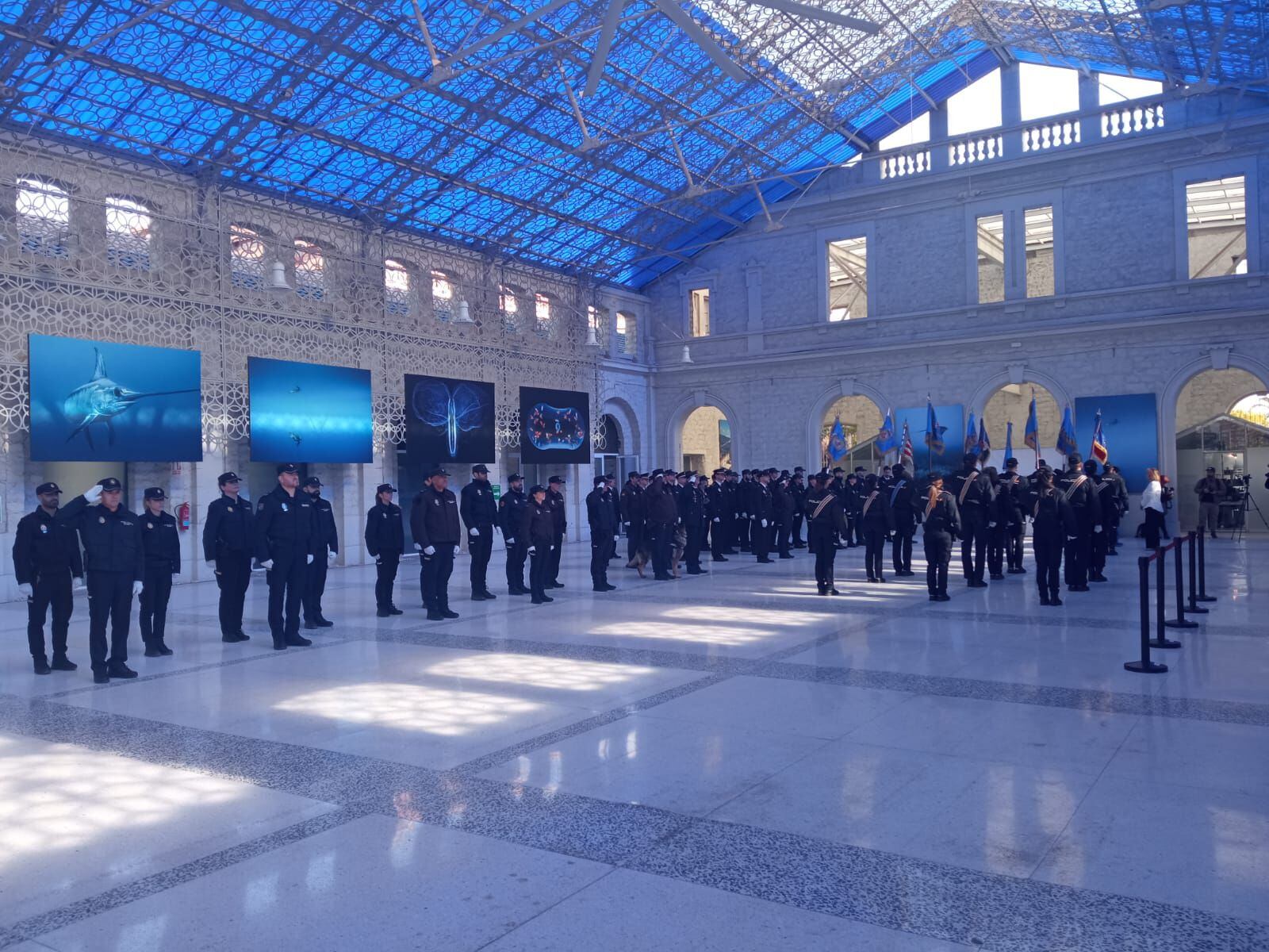 La Policía Nacional atiende 350 llamadas de emergencias cada día en  Alicante - Información