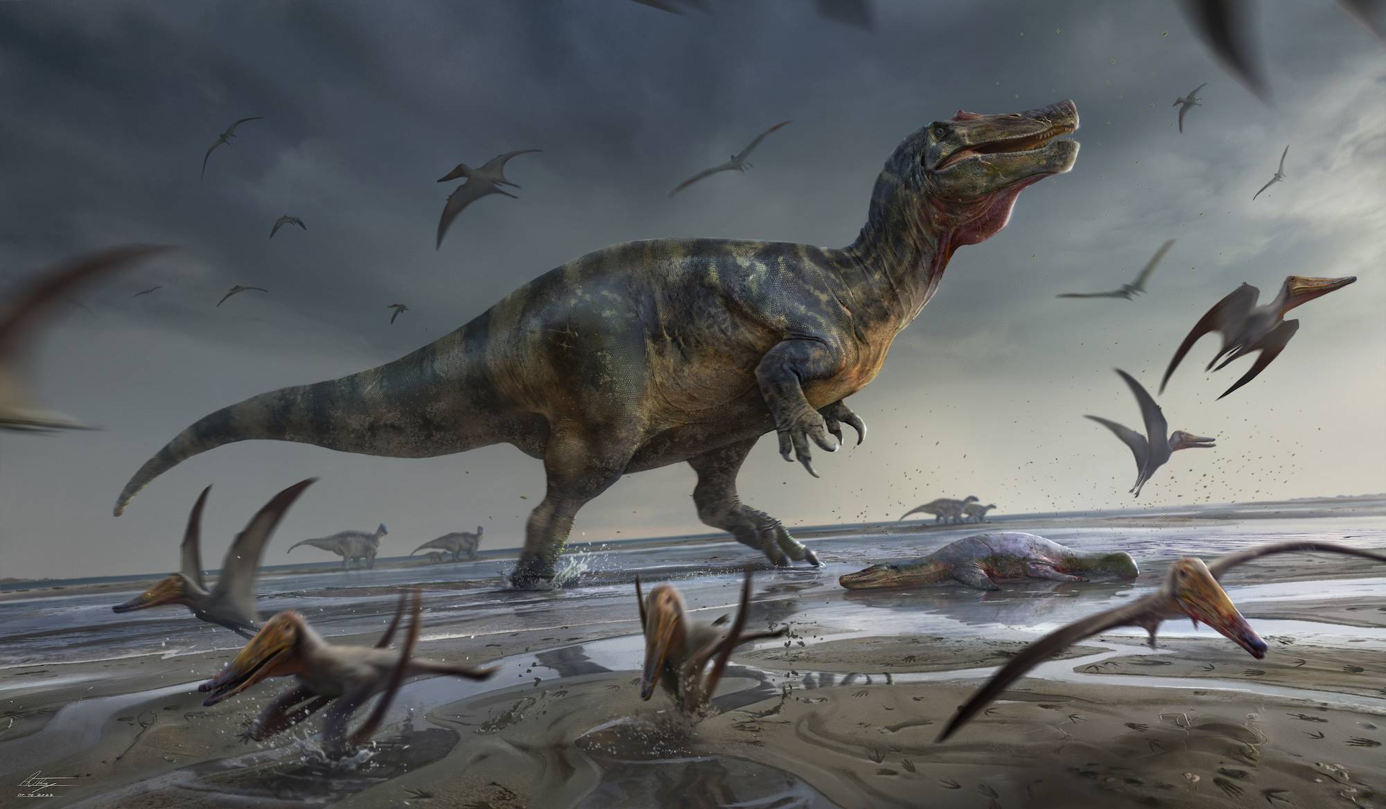 Descubierto el dinosaurio carnívoro más grande de Europa | Actualidad |  Cadena SER