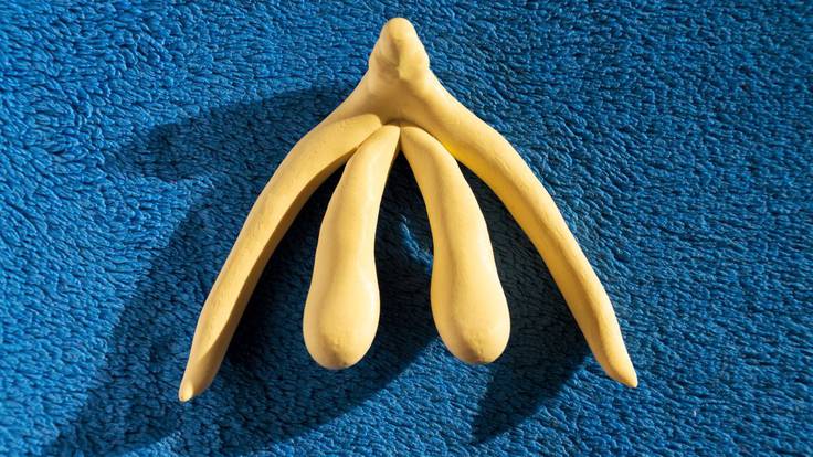 Contigo Dentro: Anatomia del clitoris. Tuppersex. Consulta sobre eyaculación postpuesta (26/10/2019)