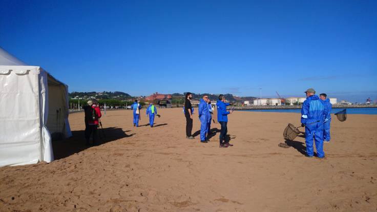 Simulacro de rescate de fauna ante un supuesto vertido en Gijón