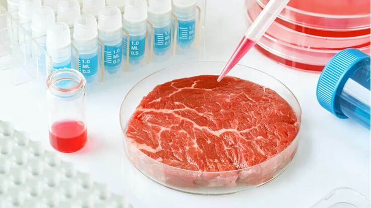 Espacio de Ecología: Carne cultivada o carne de agricultura celular