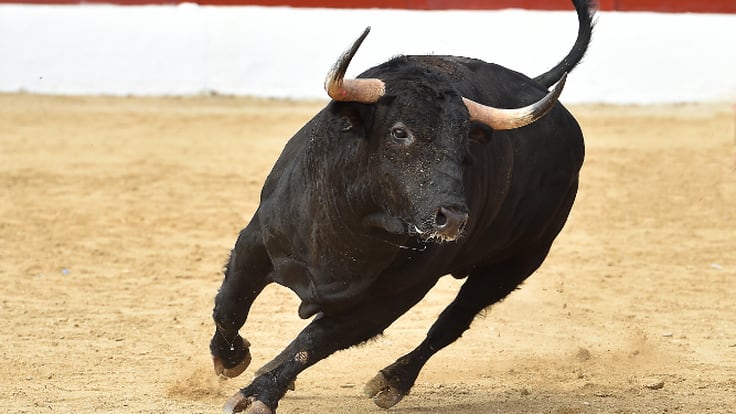 David Conde, alcalde de Valdemoro, confirma el regreso de las corridas de toros al municipio