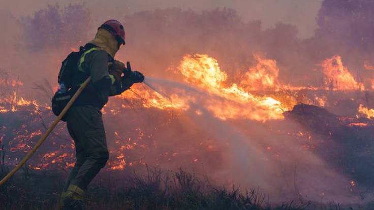Bizkaia creará su Brigada de Investigación de Incendios Forestales este año
