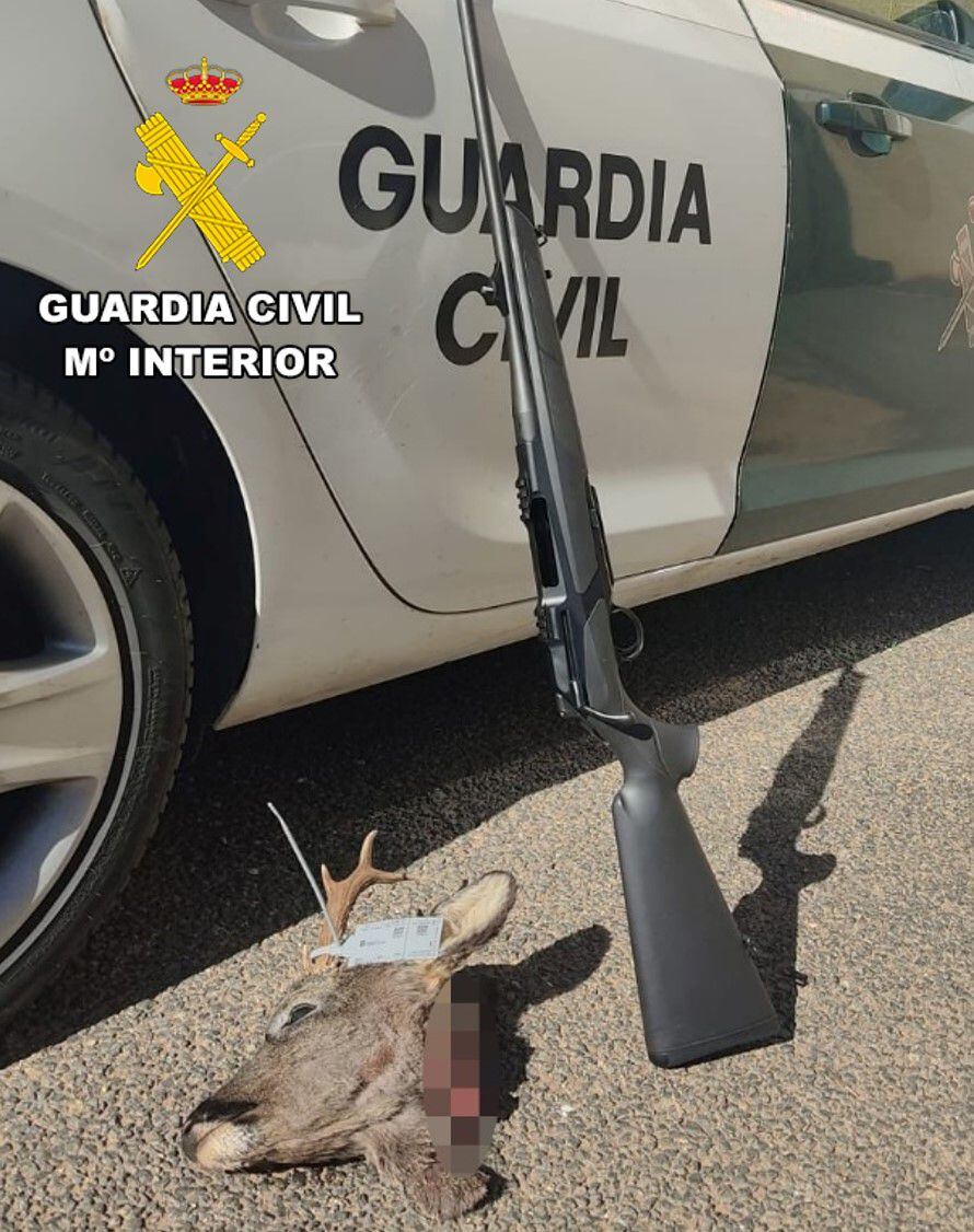 La Guardia Civil decomisa en La Ribera (Burgos) varias armas prohibidas en  los accesos a zonas de ocio - Burgos - COPE