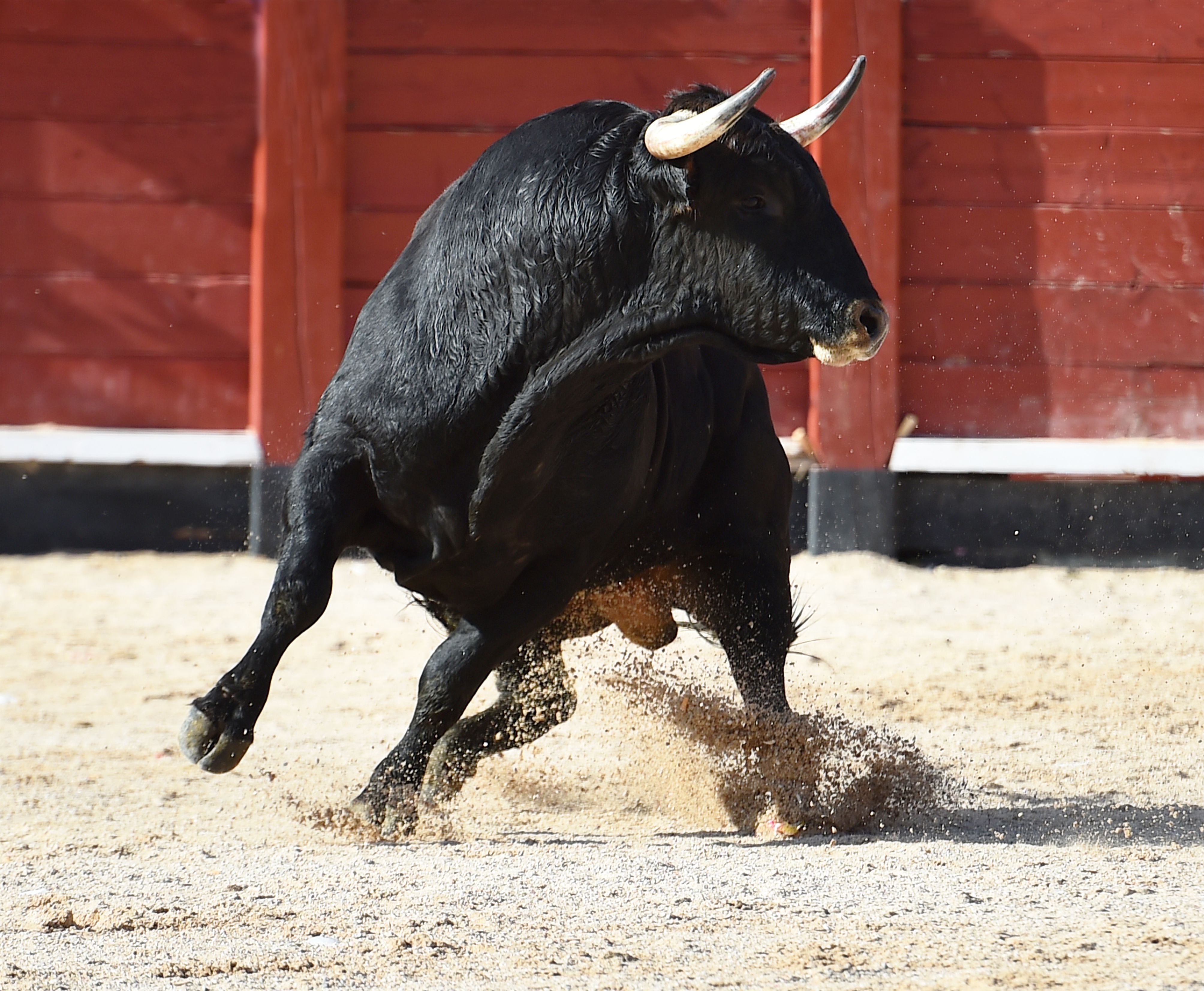 El alcalde de Valdemoro y el empresario de la plaza de toros auguran  “llenazo” en el regreso de los festejos taurinos | Ocio y cultura | Cadena  SER