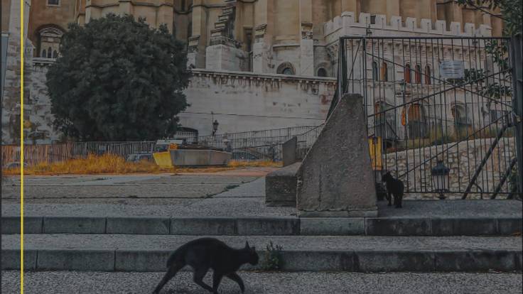 Reportaje : Mayrit, una medina andalusí