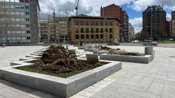 La alcaldesa de Palencia revela los árboles que se van a plantar en Jardinillos tras la tala