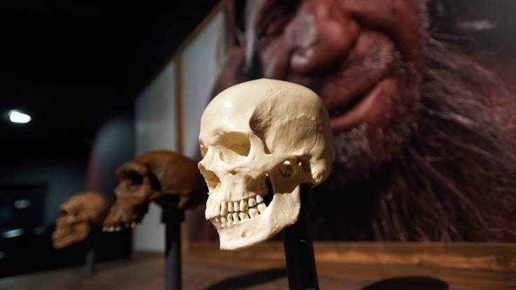 Juan Luis Arsuaga, paleontólogo: &quot;El origen de los neandertales ahora ya no es exclusivamente europeo&quot;