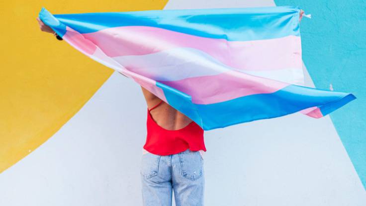 Las personas trans reivindican su sillón en la política
