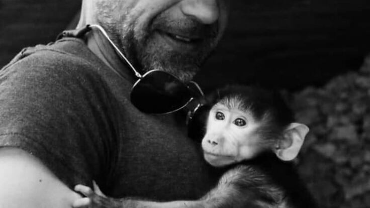 Un experto señala que no se están tomando las medidas correctas para capturar al mono