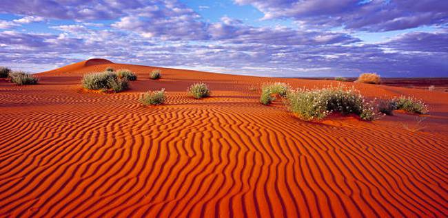 Desiertos de Australia