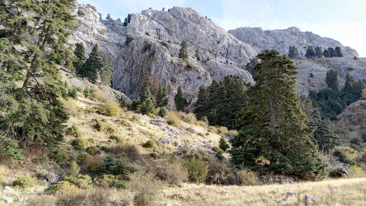 &quot;El Parque Nacional no está ni señalizado&quot; A Pérez, Mancomunidad Sierra Nieves