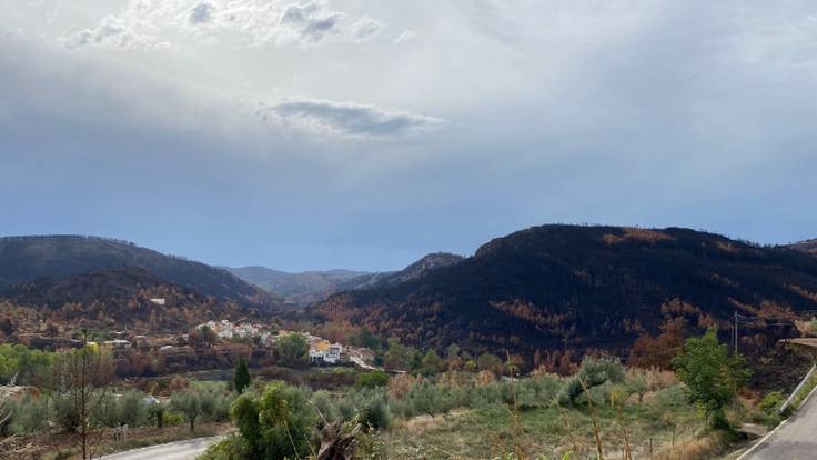 &quot;Ya no queda nada, nos hemos quedado a cero&quot;: visitamos las zonas arrasadas por los incendios forestales en Vall d&#039;Ebo y Bejís - A Vivir CV