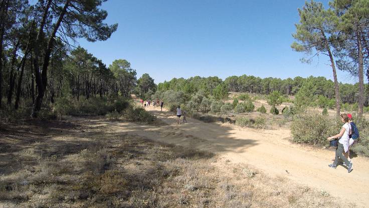 Por la cañada real de Cuenca hasta un campo del golf rústico único en España