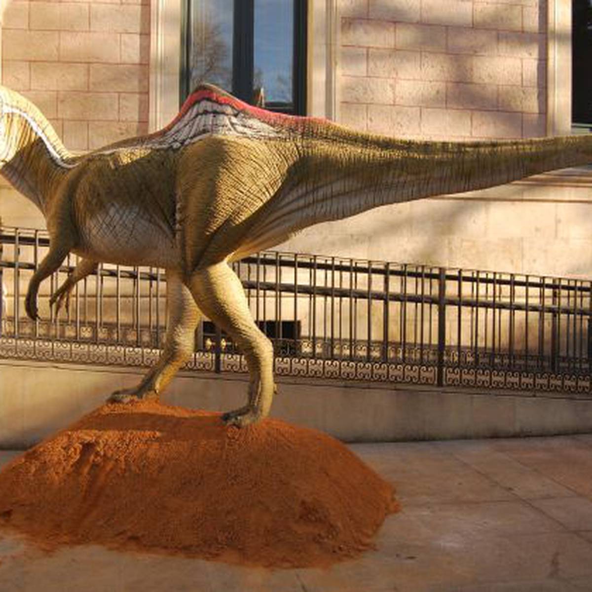 Un dinosaurio de Cuenca en Hollywood | Actualidad | Cadena SER