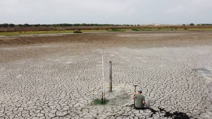 Doñana, un humedal que agoniza tras sus primeros 54 años de vida