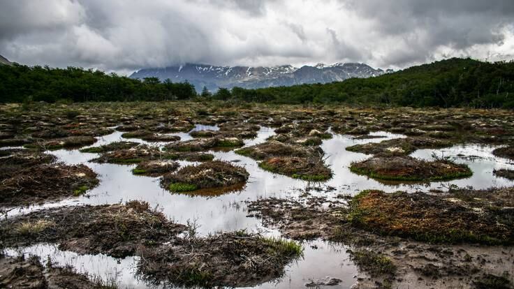 Espacio de Ecología: La supervivencia de los humedales españoles en peligro