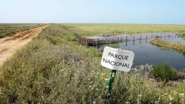 La guerra del agua en Doñana pendiente de las elecciones