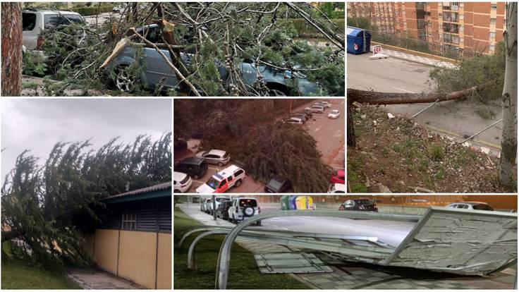 El fuerte viento ha afectado a árboles y otros elementos urbanos en Cuenca, causando daños materiales