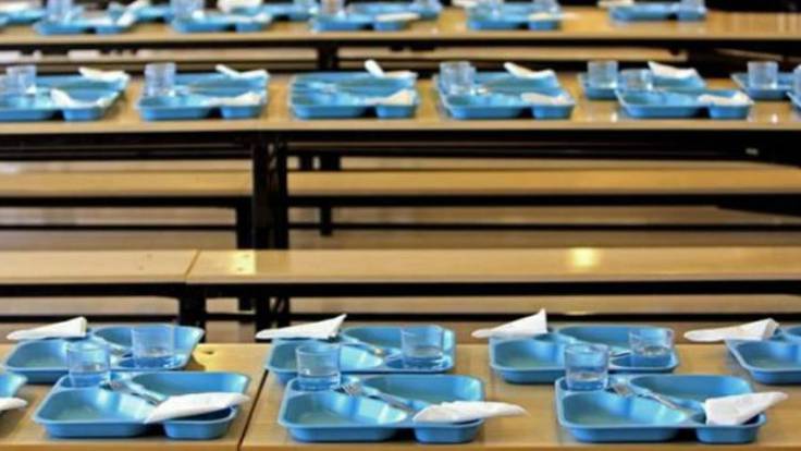 Dos colegios de Galdakao denuncian haber encontrado pulgón en el menú escolar