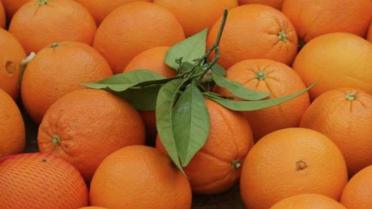 Se multiplica el consumo de naranjas en Europa