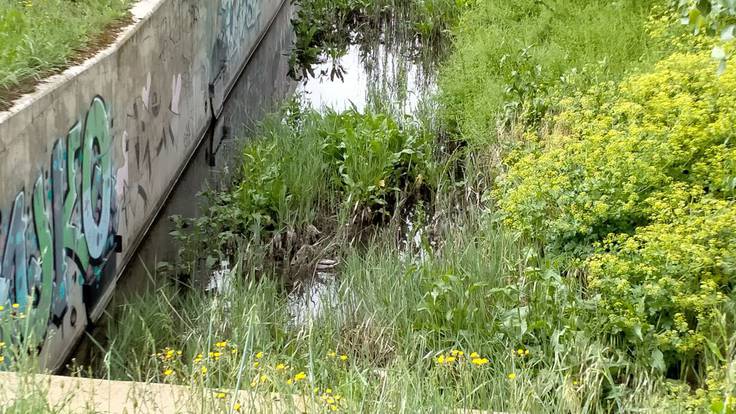 La asociación de vecinos de Olivares denuncia el mal funcionamiento del colector del arroyo de Valderrey