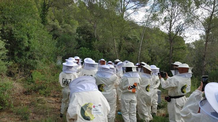 &quot;Los Montes de Málaga necesitan recuperar sus abejas&quot; Iris Marcos, Smart Green LG