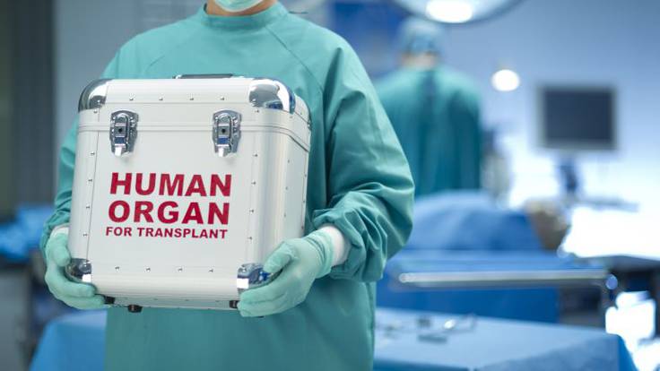 Aumentar las donaciones de órganos en 2024 en Palencia principal objetivo del nuevo equipo coordinador