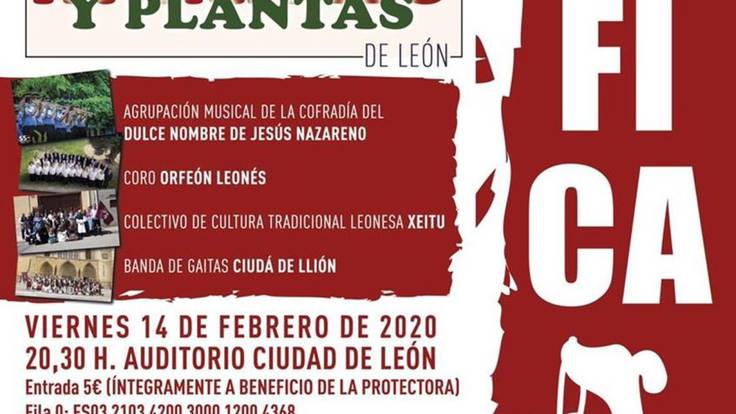 La música de León se mueve por la Protectora (14/02/2020)