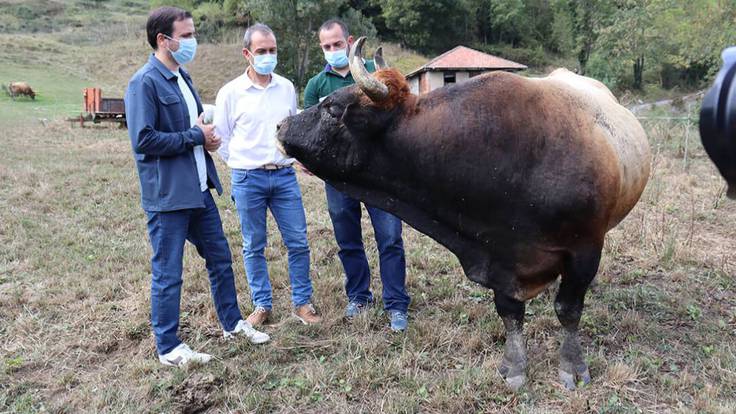 Debate político sobre las declaraciones del ministro Garzón sobre la exporación de carne procedente de animales maltratados