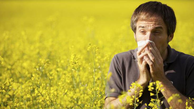 Más alergias y más agresivas: su relación con el cambio climático