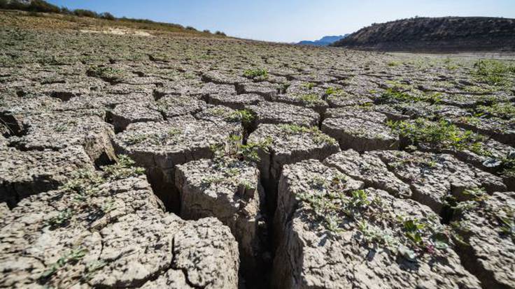 &quot;No recordamos una sequía peor&quot; Alejandro Clavero, Comunidad de Regantes