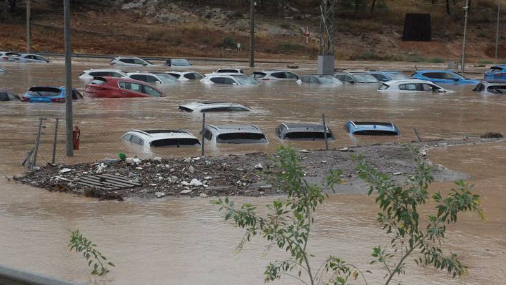 El presidente de la Conferencia Hidrográfica del Segura admite la falta de limpieza en los márgenes del río