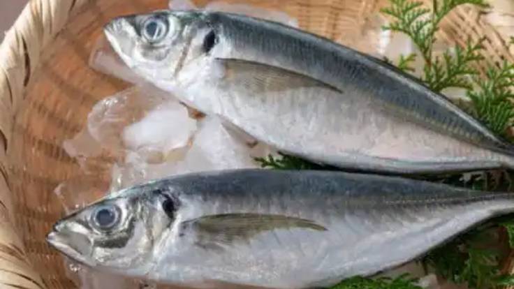 Cómo convertir el jurel en un pescado &#039;de lujo&#039;: la receta del Estrella Michelin Julio Fernández
