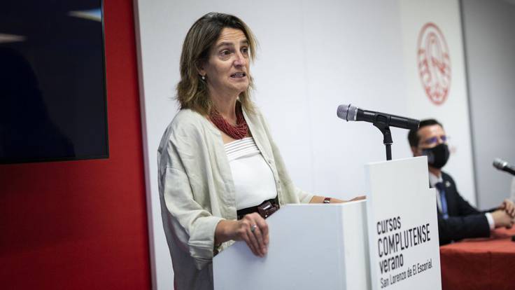 Teresa Ribera, ministra de Transición Ecológica