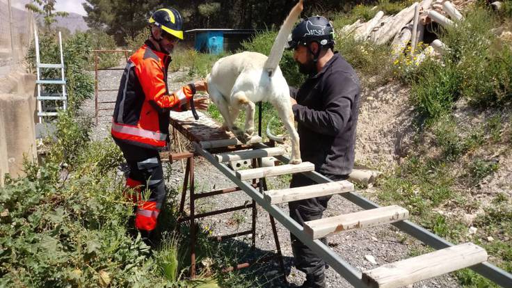 La Unidad Canina de los Bomberos de Ibiza al rescate de las personas