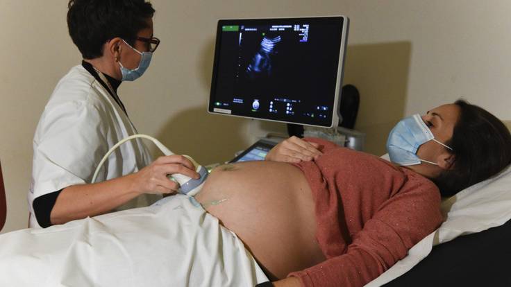 En busca de la placenta artificial: mejorar la supervivencia y reducir las secuelas del parto prematuro