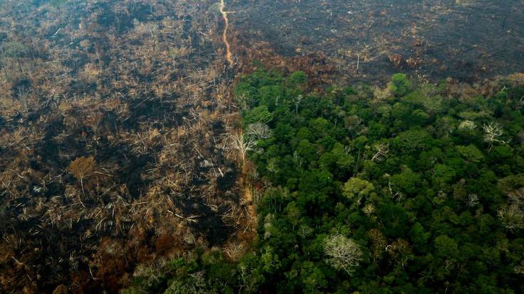 ¿Qué está pasando en la Amazonía?