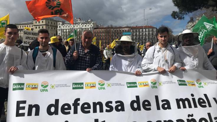 Apicultores de Zamora se manifiestan en Madrid frente al Ministerio de Agricultura