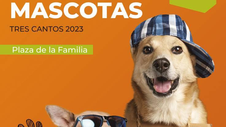 Fátima Mera, concejala de Salud Publica del Ayuntamiento de Tres Cantos, sobre la Feria Solidaria de Mascotas