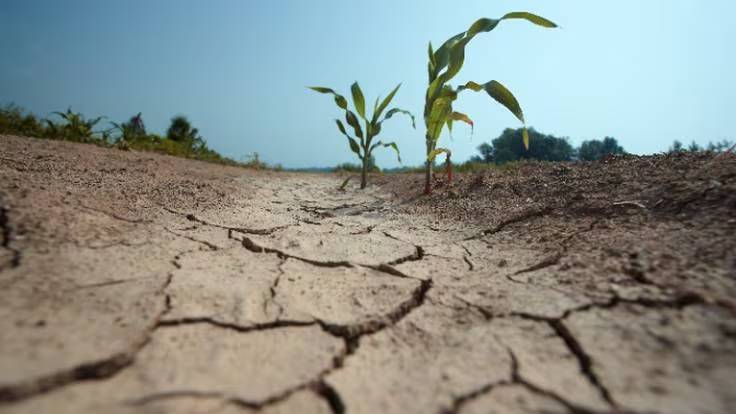 La solución a la sequía de un experto: &quot;No es muy costoso y el impacto ambiental es mínimo&quot;