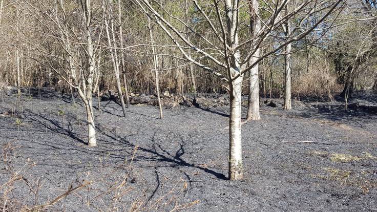 Estabilizado el incendio de Rianxo que calcinó 850 hectáreas de monte
