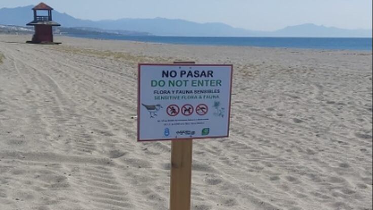 La Línea recibe una inversión de 600.000 euros para protección del sistema dunar del litoral de levante