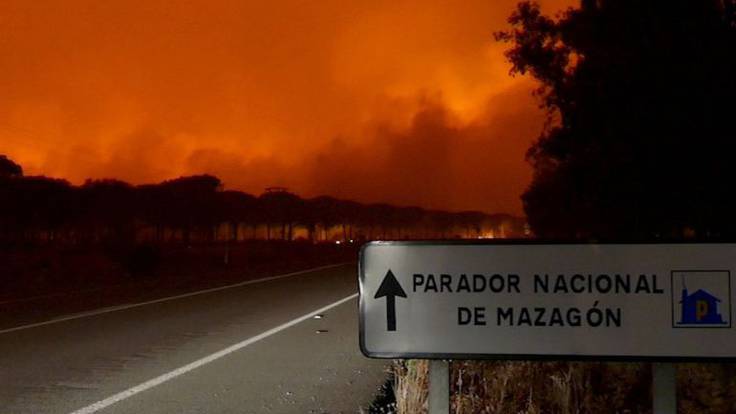 &#039;No hay relación entre la Ley de Montes y el incendio en el entorno de Doñana&#039;
